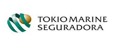 Tokio marine seguro de carro